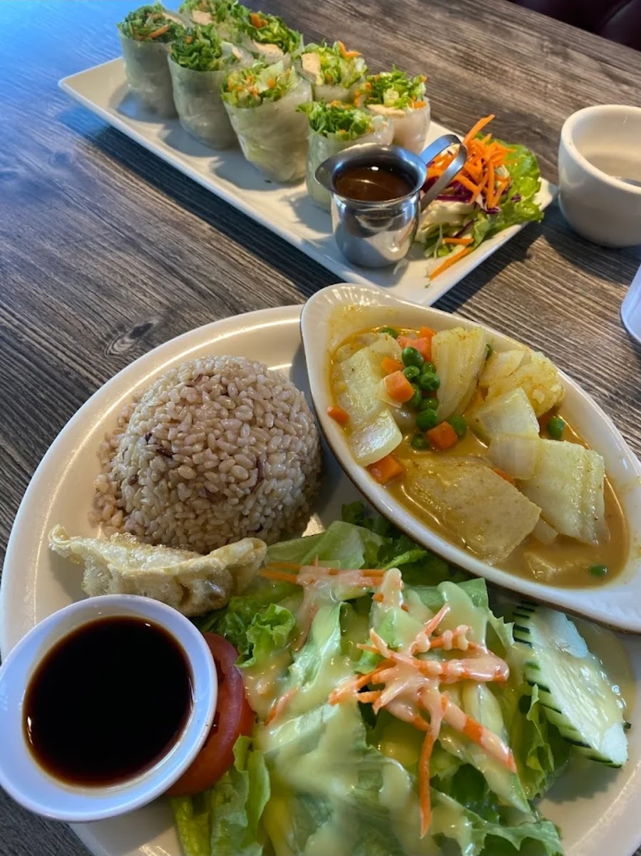 Bright Star Photos 2